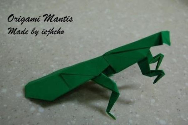 Insect Origami Encyclopedia - Origami Mantis Origami Video Tutorial