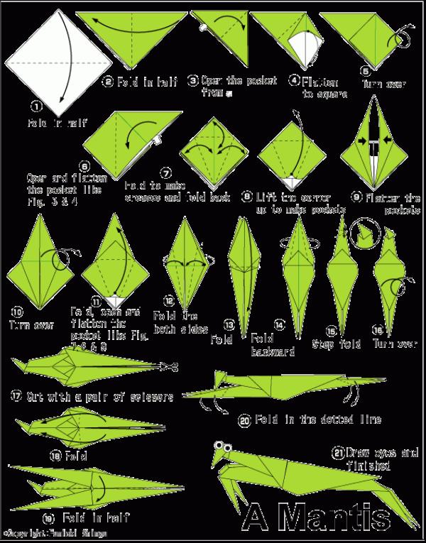 Simple Origami Mantis Origami Tutorial