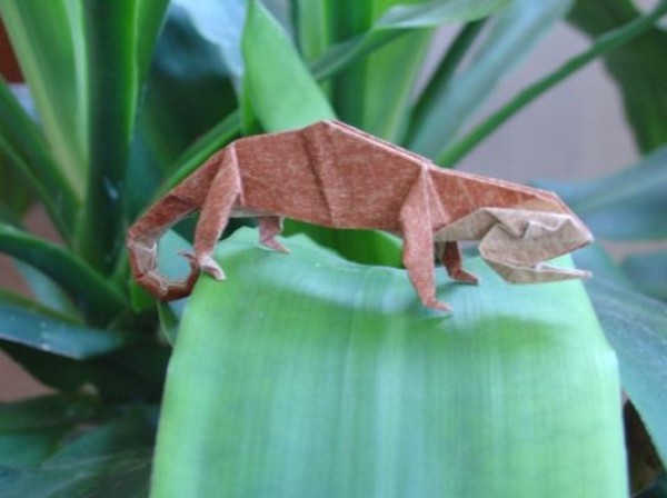 Chameleon origami tutorial—Marc Vigo