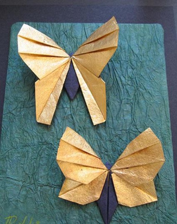 Butterfly Origami Tutorial—Rikki Donachie