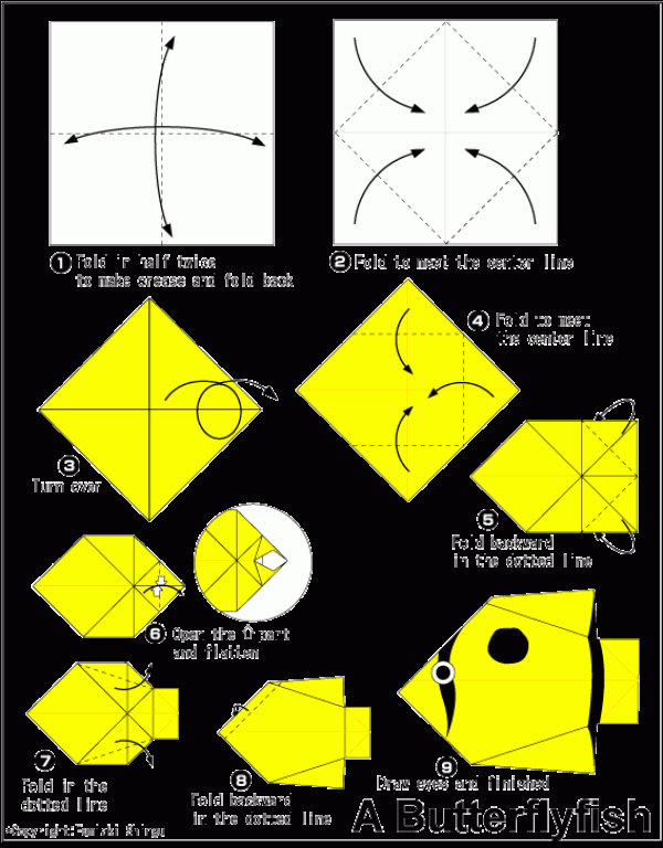 Simple Origami Butterfly Fish Origami Tutorial for Children