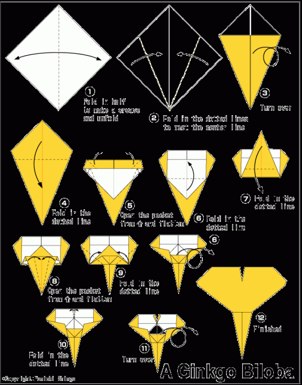 Childrens origami simple ginkgo handmade origami tutorial