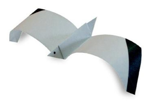 Simple origami seagull tutorial for children