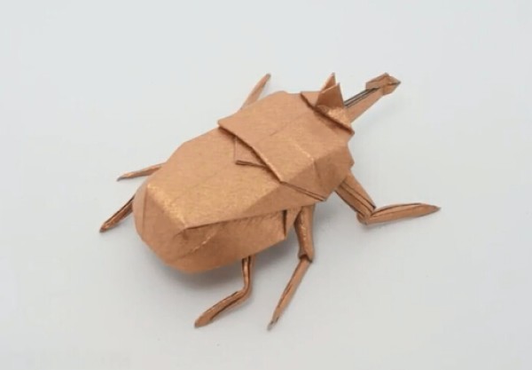 Insect origami encyclopedia - video tutorial on how to make handmade origami beetles