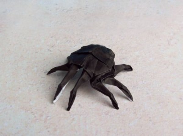 Spider origami making tutorial