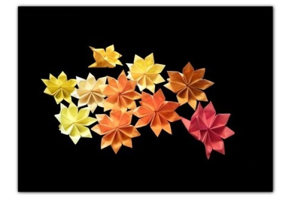 Origami Flower Origami Comprehensive Illustrations - Eight-petal Flower Origami Tutorial