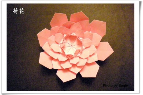 Origami Encyclopedia Illustrated Origami Lotus Step-by-Step Tutorial