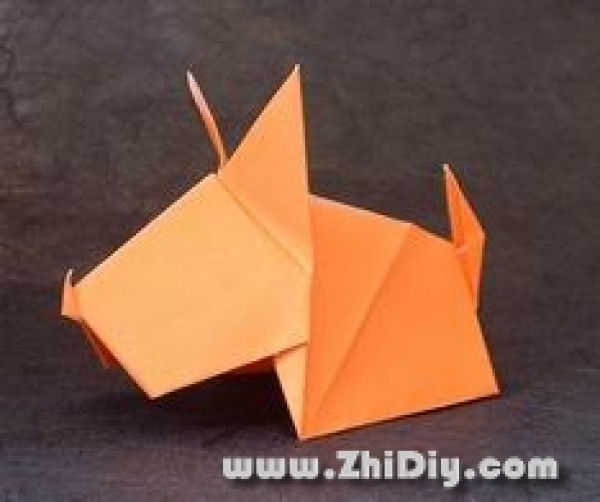 Introduction to wet origami