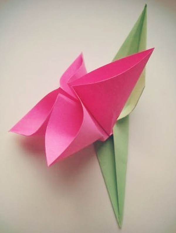 A complete illustration of origami flowers for children - an illustrated tutorial on how to fold an origami corsage