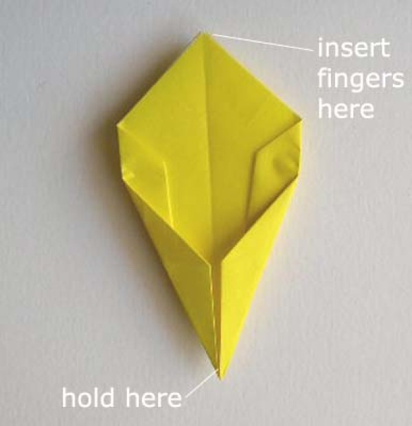 Origami Tulip Tutorial