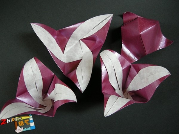 Origami Box Appreciation Recommended by Paper Art Network [medium]