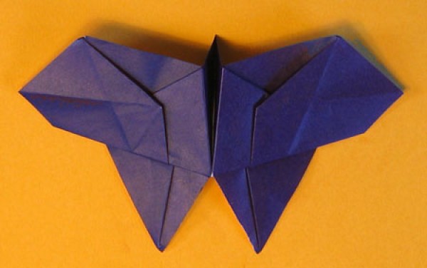 Origami Complete Illustrated Tutorial: Origami Butterfly Folding Illustrated Tutorial