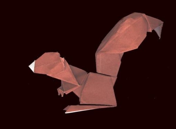 Origami squirrel tutorial - Perry Bailey