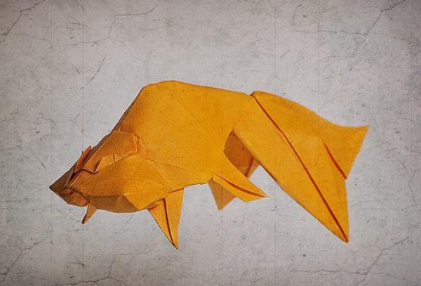 Origami tutorial for blister goldfish—Ronald Koh