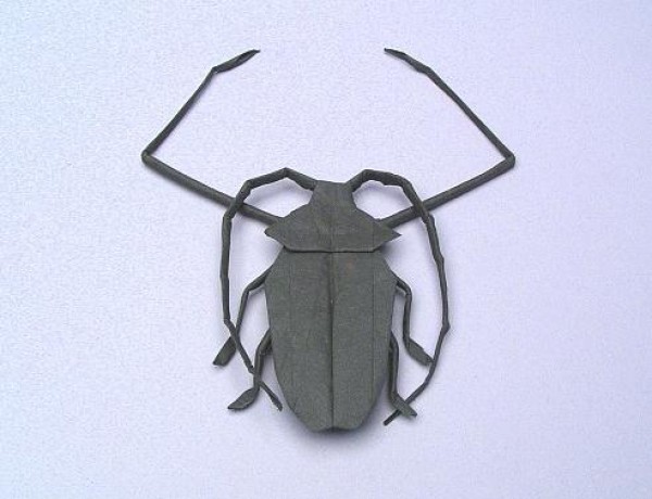 Insect origami long-armed long-armed beetle illustrated tutorial