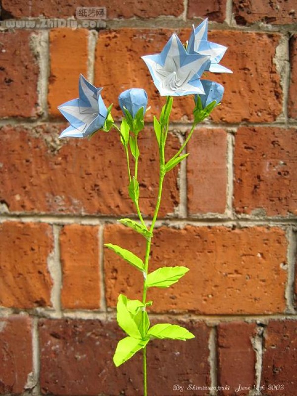 Shimizu Satsuki’s paper art work—“Origami Platycodon·Origami Balloon-Flower”