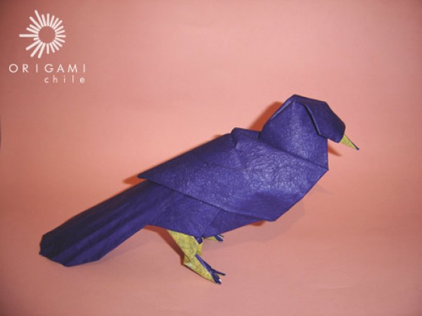 Origami thrush origami tutorial—Dino Andreozzi