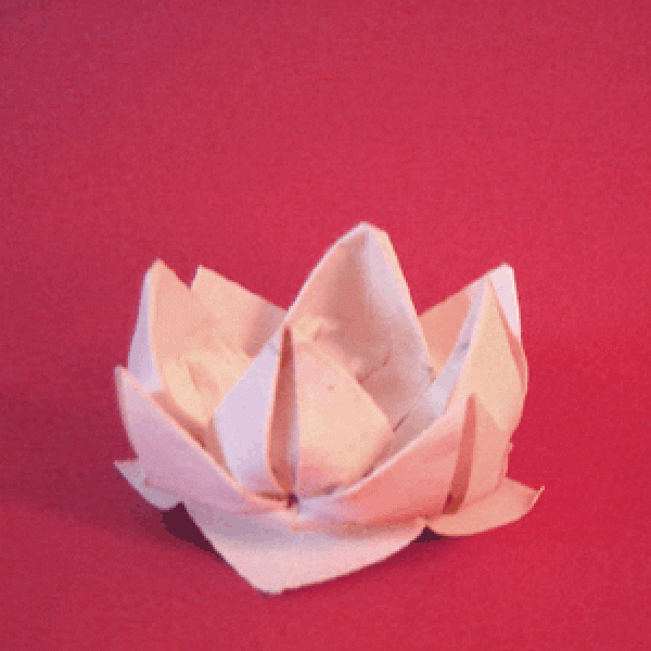 Origami lotus making paper flower tutorial