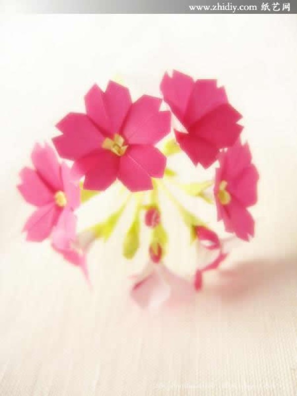 Shimizu Satsuki’s submission—“Origami Primrose·Origami Primrose”