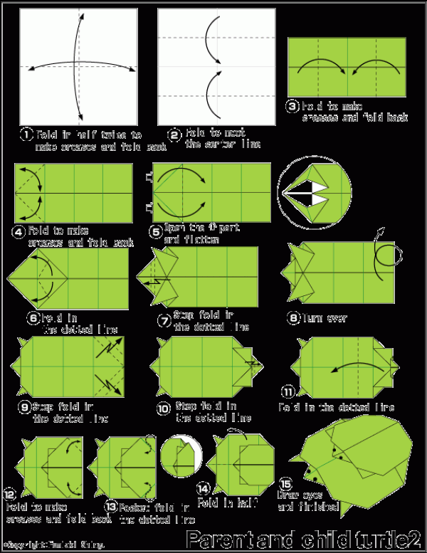 Simple origami tutorial for children - turtle and son