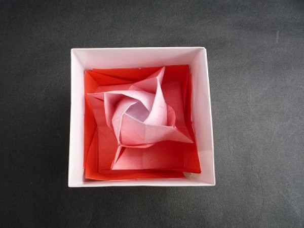 Square Origami Rose Making Tutorial