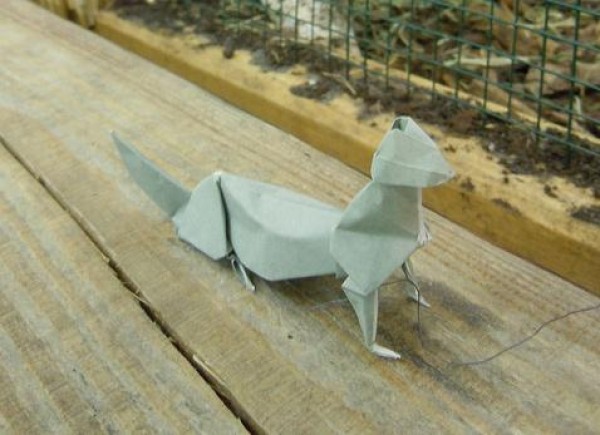 Weasel origami tutorial—Gabriel Willow