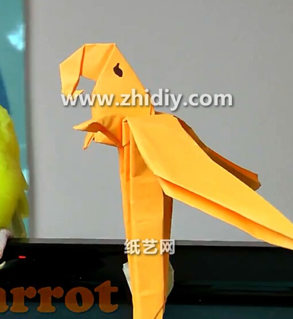 Origami Parrot Childrens Origami Video Tutorial