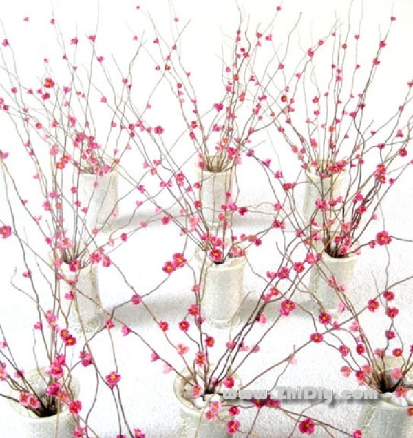 The season of paper cherry blossoms [detailed actual picture]