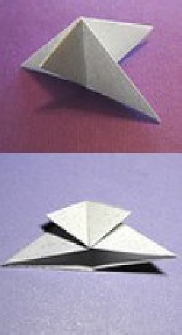 Tea bag origami tutorial-eight-pointed star