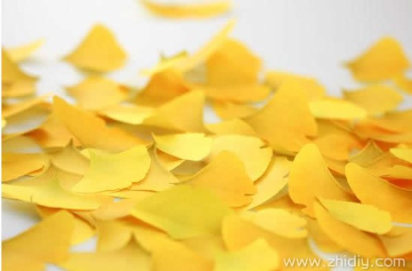 Ginkgo leaf bookmark note paper art design