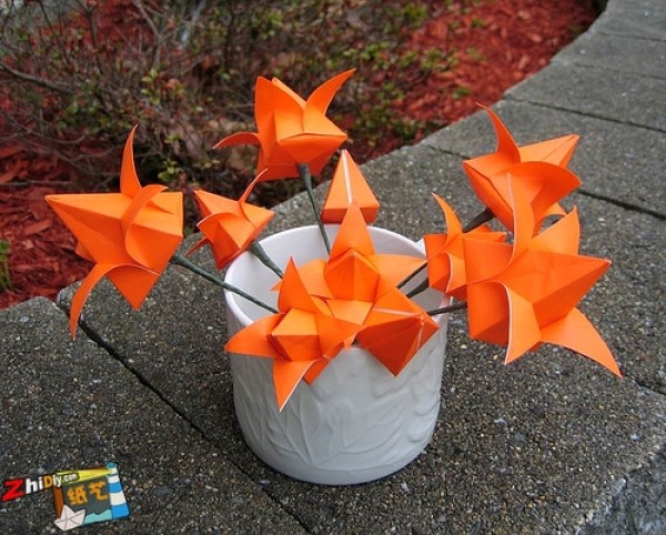 Appreciation of simple origami flowers