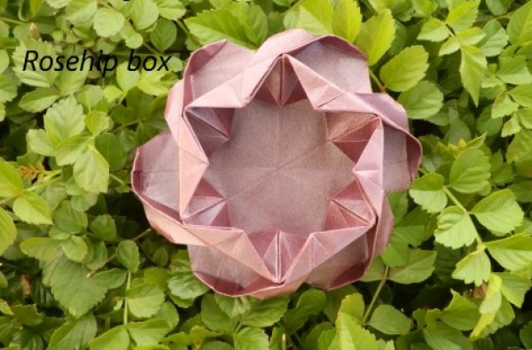 Origami rose box folding video tutorial teaches you step by step how to make origami rose box