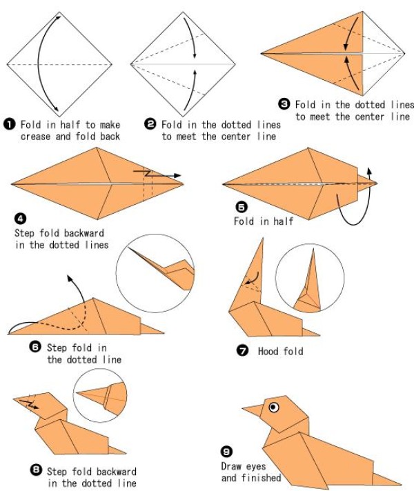 Simple Origami Wild Duck Origami Tutorial for Children