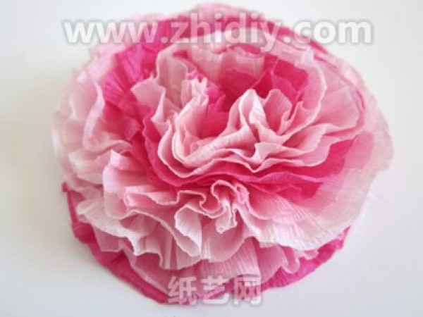 Crepe Paper Flower Art Illustrated Tutorial