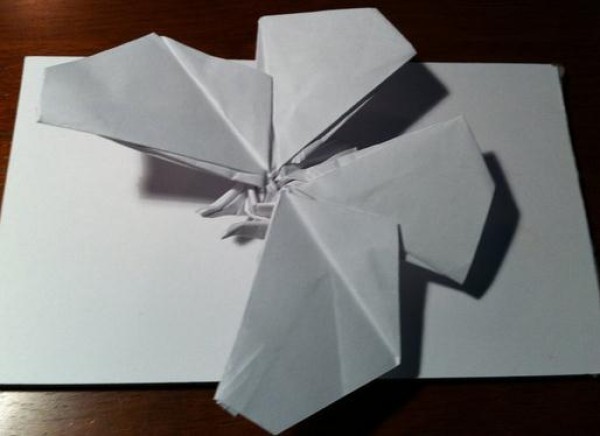 Insect origami origami butterfly illustrated tutorial