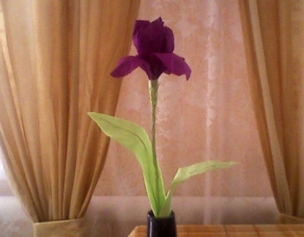 Crepe Paper Irises Making Tutorial