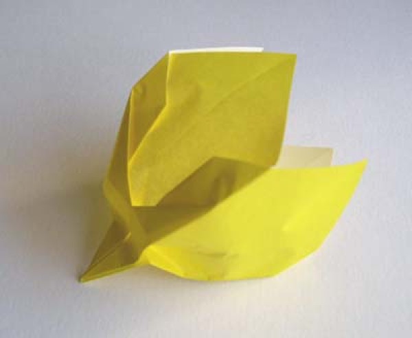 Origami Tulip Tutorial