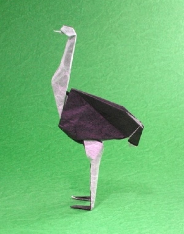 Origami Ostrich Handmade Origami Drawings Tutorial [Animal Origami Atlas]