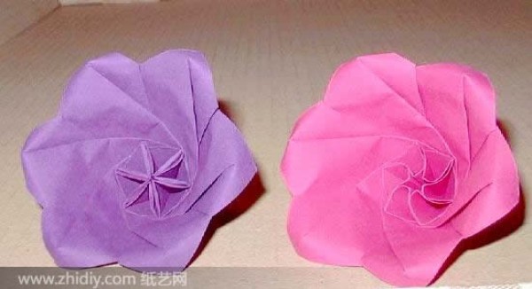 Origami Star Flower Illustration