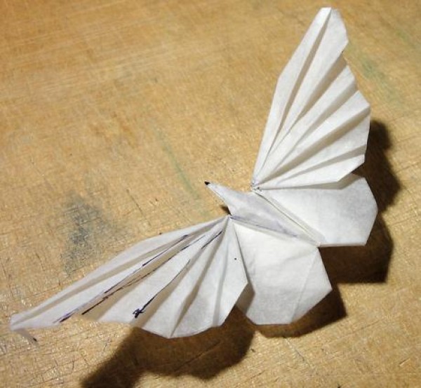 Butterfly origami tutorial