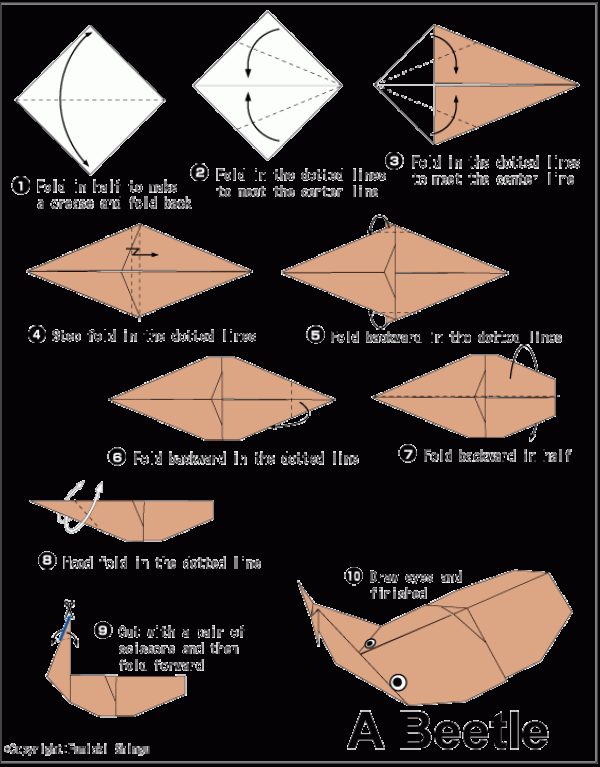 Beetle simple handmade origami complete illustrated tutorial