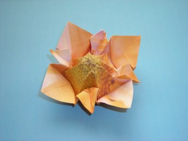 Simple origami orange flowers