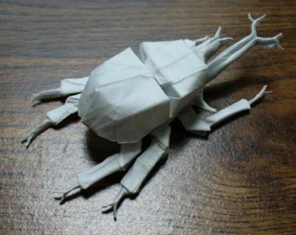 Origami Insect Illustrations - Origami Tutorial of Samurai-Headed Armored Insect