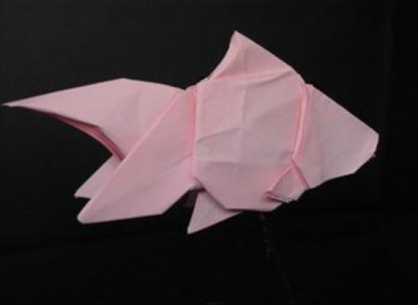 Origami Fish Illustrations - Origami Goldfish Illustration Tutorial