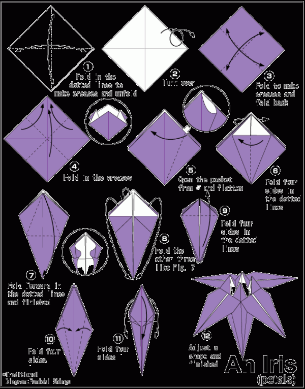 Simple origami iris tutorial for children