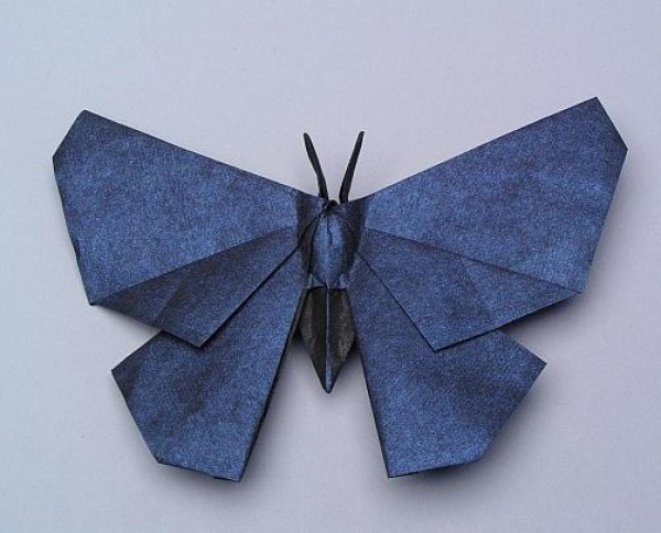 Insect origami origami butterfly illustrated tutorial