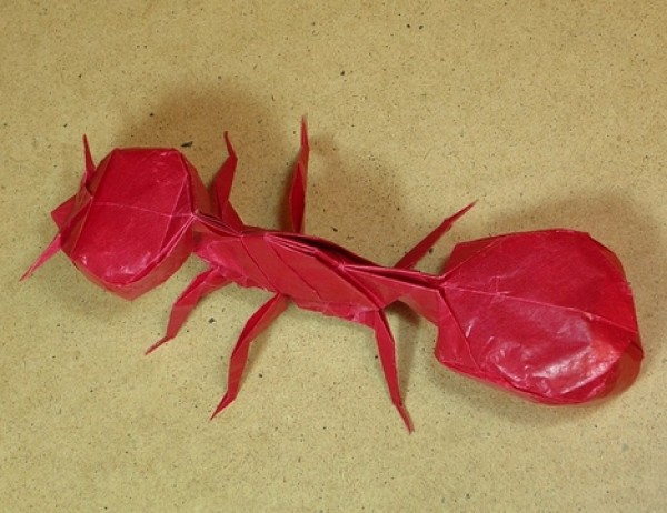 Origami Ant Origami Drawing Tutorial [Animal Origami Atlas]