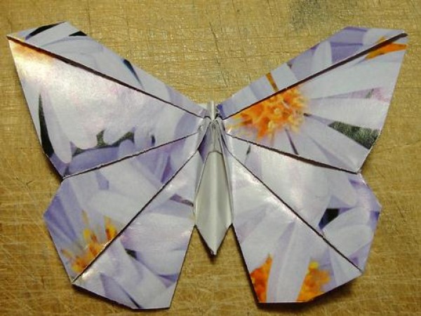 Butterfly origami tutorials and illustrations