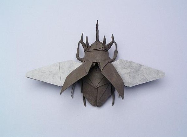 Insect origami: Illustrated origami tutorial of the Penta-horned Rhinoceros beetle in flight