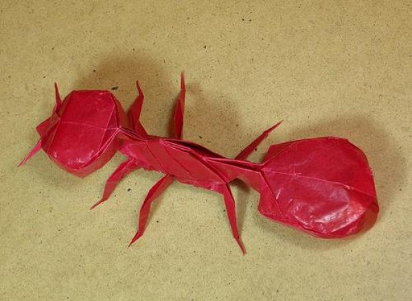 Insect Origami - Ant Origami Illustrated Tutorial